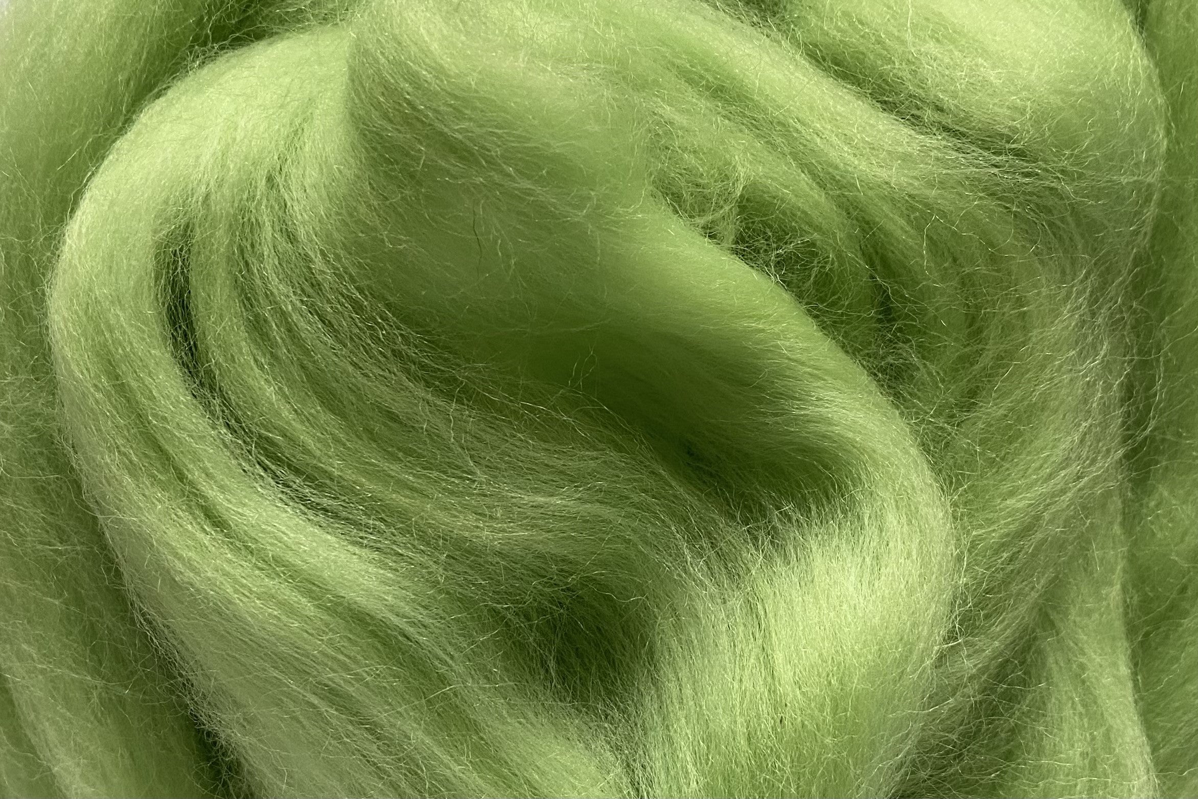 Corriedale Fleece Pastel Green
