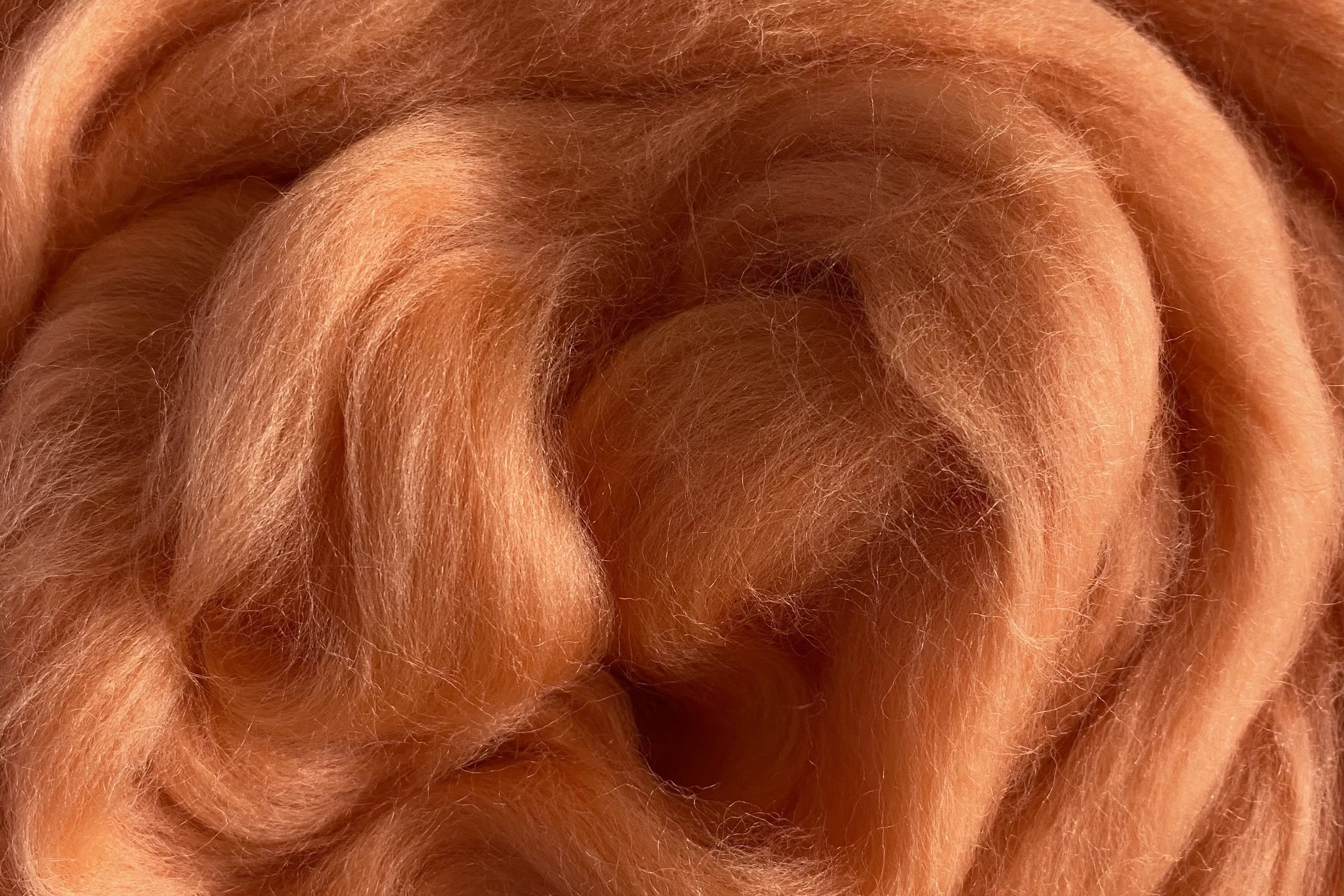 Corriedale Fleece Pastel Orange