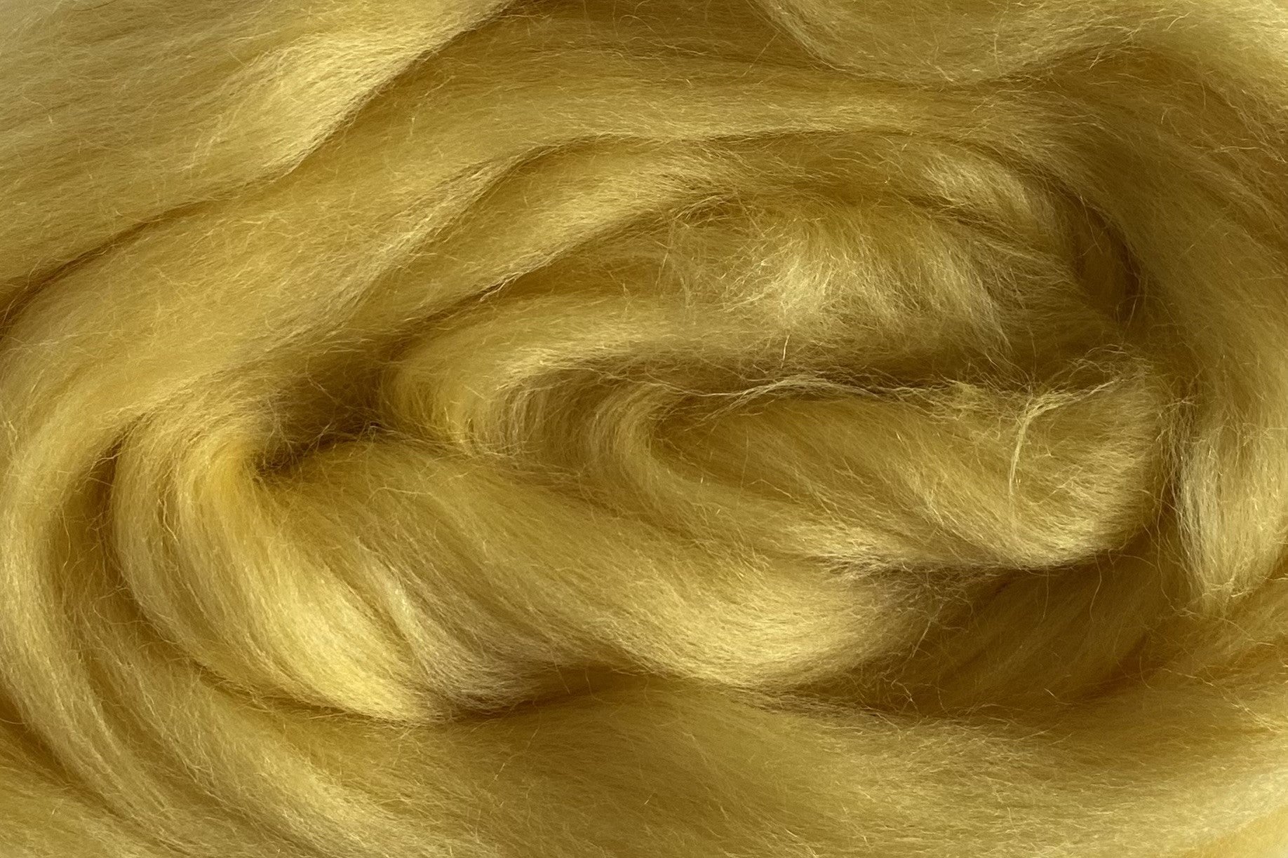 Corriedale Fleece Pastel Yellow