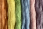Corriedale Fleece Pastel Rainbow