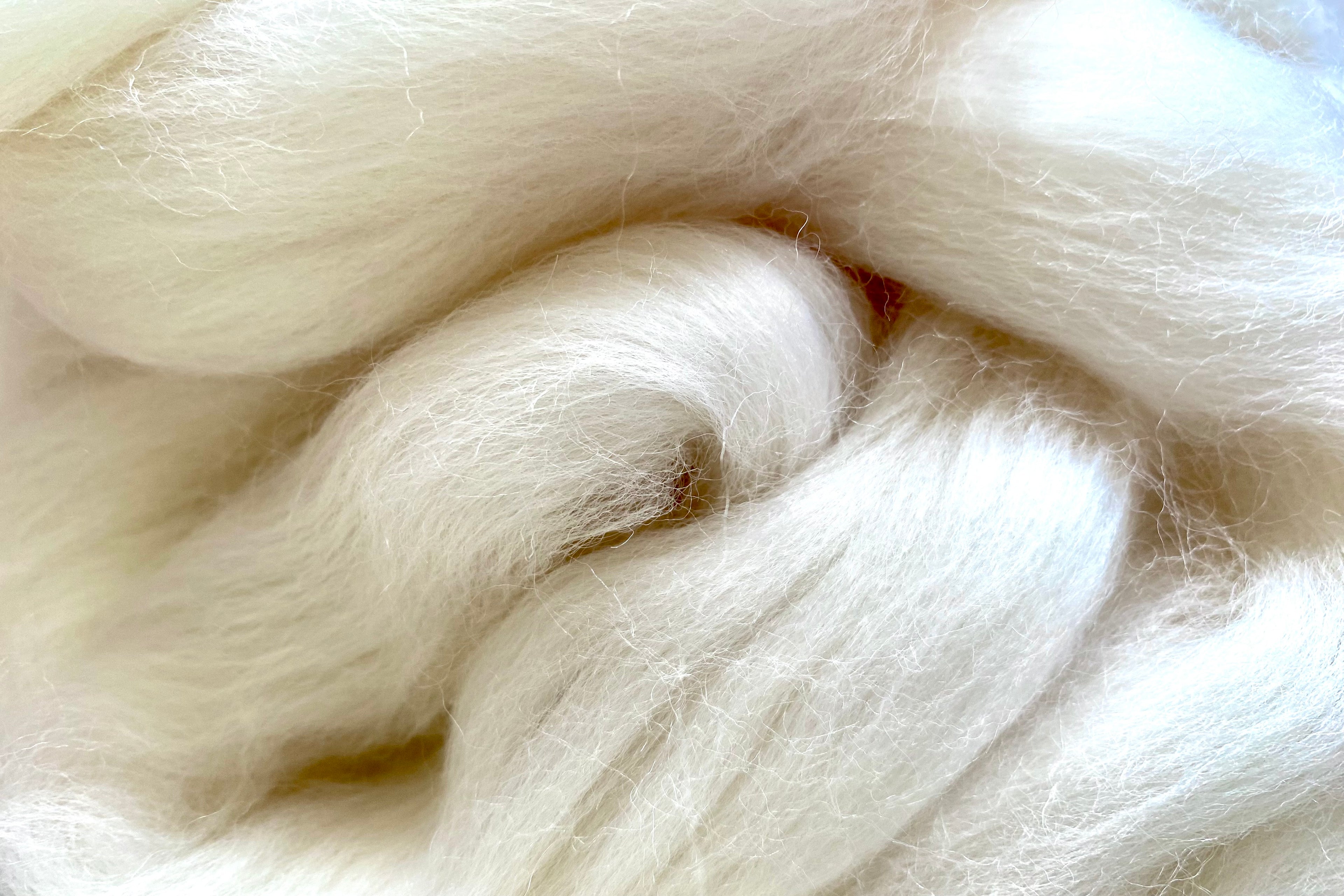 Corriedale Fleece White