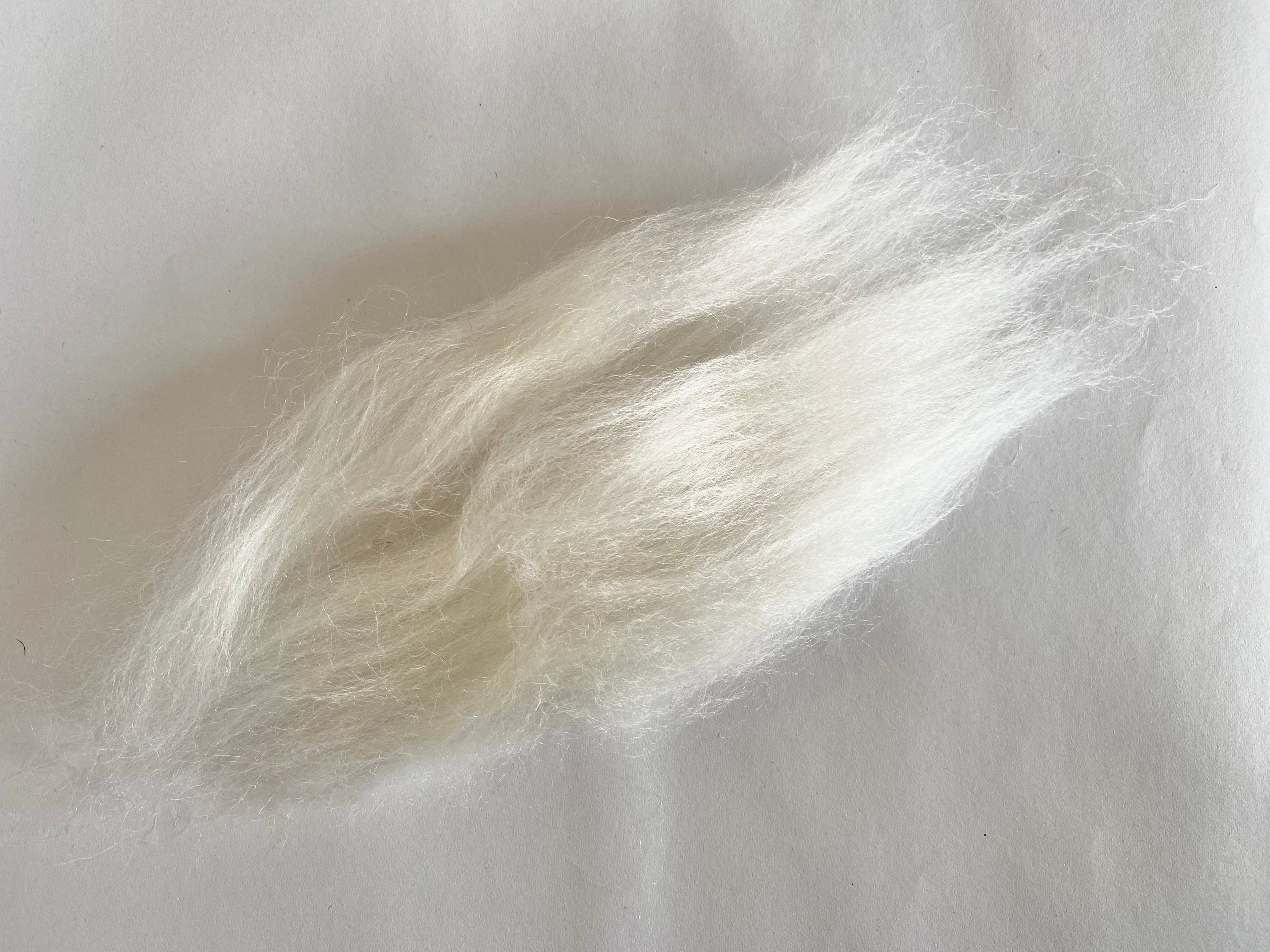 Corriedale Fleece White