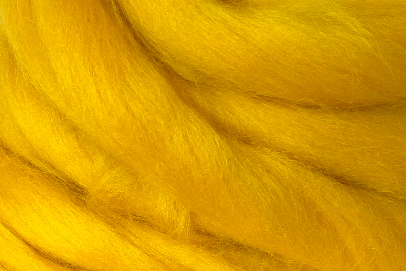 Corriedale Fleece Yellow